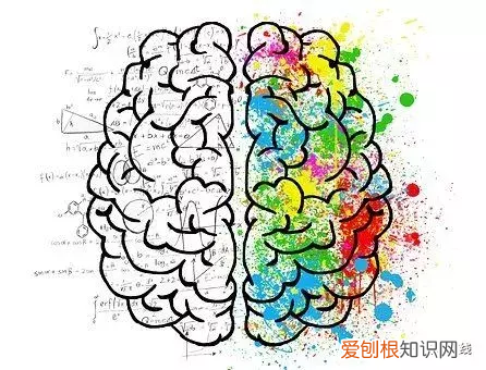 来自学霸的全脑学习方法 全脑高效学习法