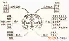 来自学霸的全脑学习方法 全脑高效学习法