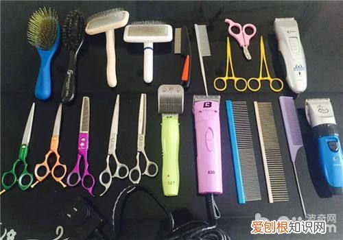 宠物狗猫的美容工具介绍 宠物美容工具