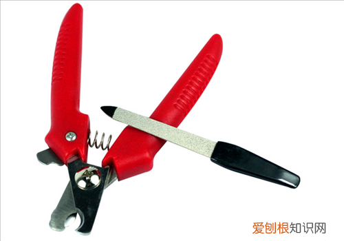 宠物狗猫的美容工具介绍 宠物美容工具