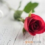 不同朵数玫瑰代表不同的话 7朵玫瑰代表什么?