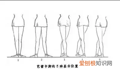 跳广场舞最基本的几个动作有哪些？ 学习广场舞基本动作