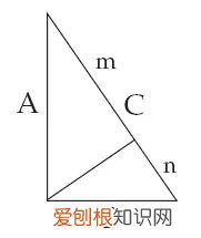 爱因斯坦的童年 科学家小时候的故事