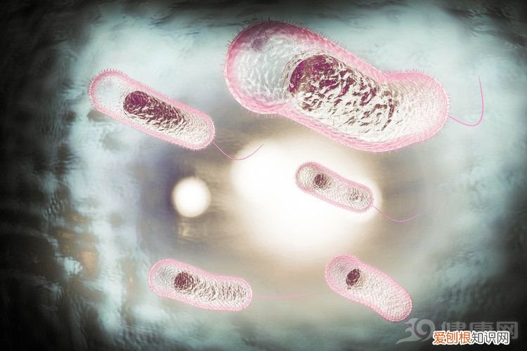 为啥只有中国人爱喝热水？ 中国人为什么喜欢喝热水