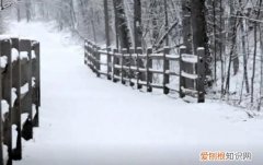 大雪有哪些传统食物 大雪节气吃什么传统食物