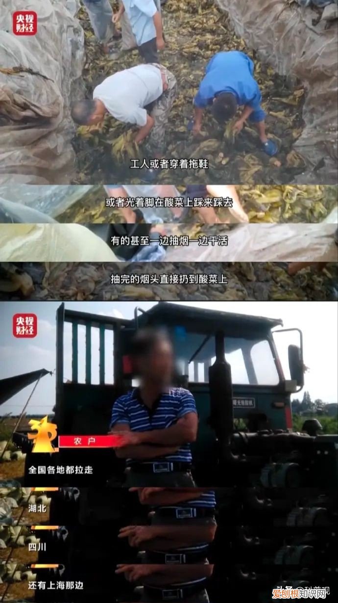 老坛酸菜方便面怎么了 老坛酸菜包在土坑腌制是真的吗