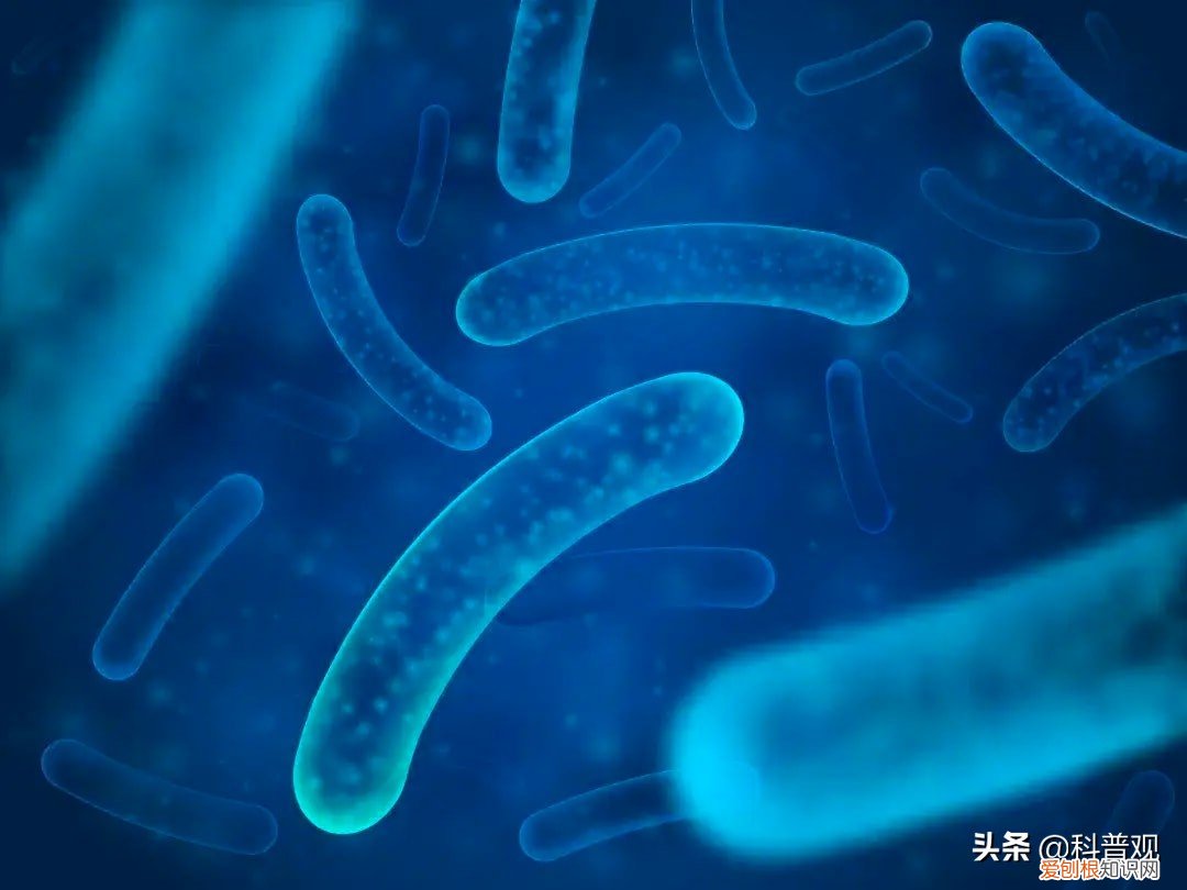 老坛酸菜方便面怎么了 老坛酸菜包在土坑腌制是真的吗