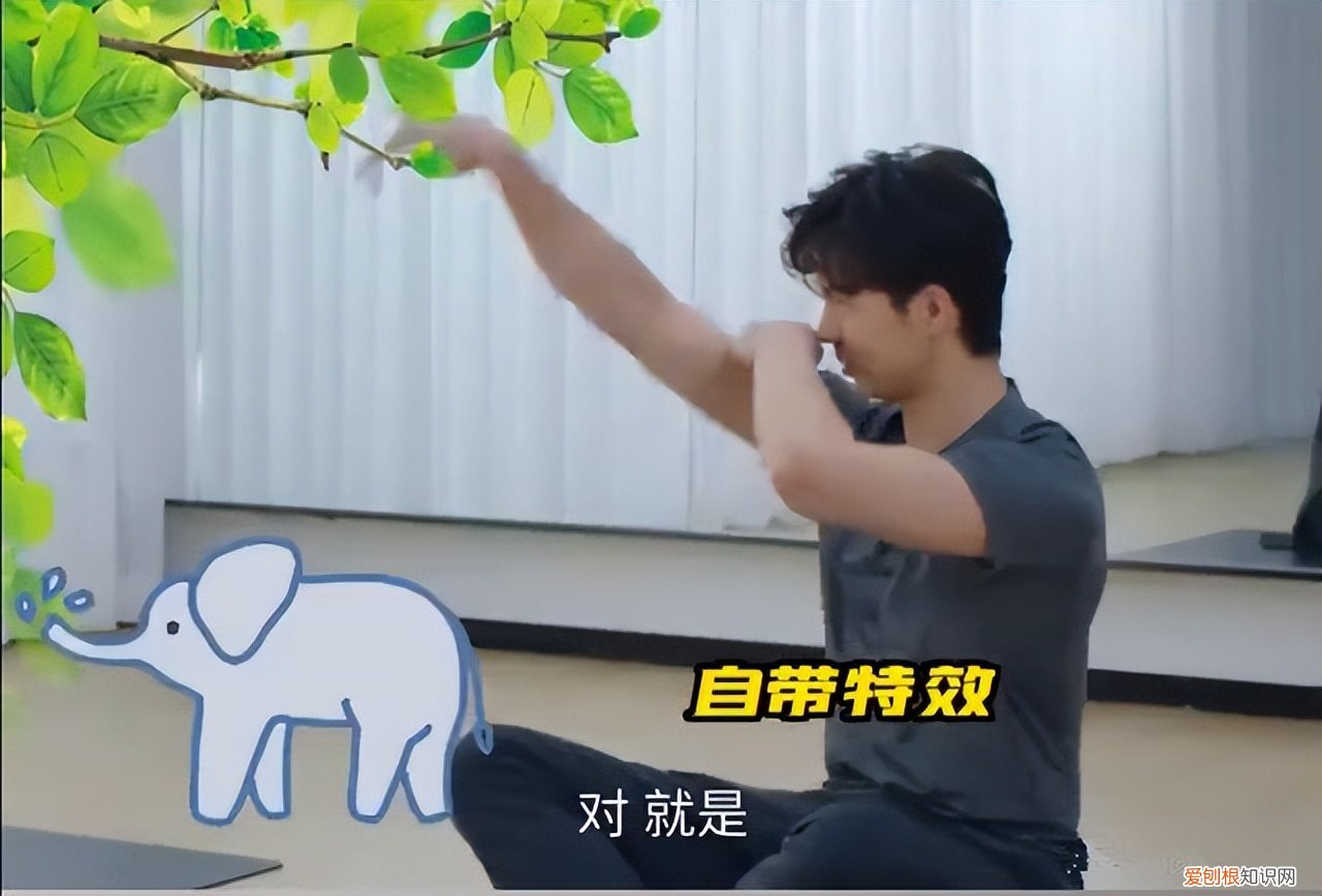 真爱无疑了!近日车内打情骂俏 王诗玥柳鑫宇公布恋情