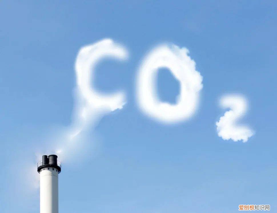 答案已被证实? 人类灭绝时间已定是真的吗