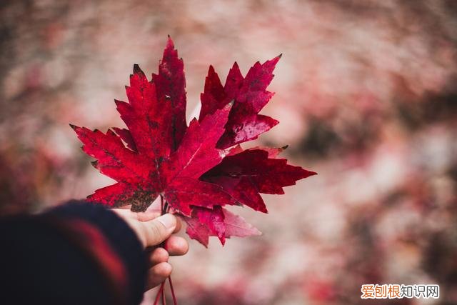 男生普遍喜欢的长相是哪种？最受男生欢迎的女生长相