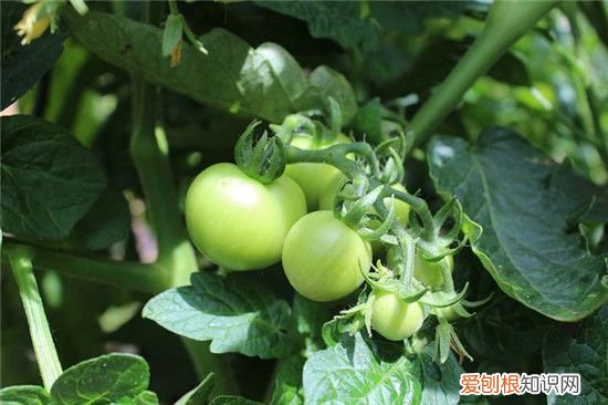 印堂发黑是怎么回事 印堂发黑什么意思