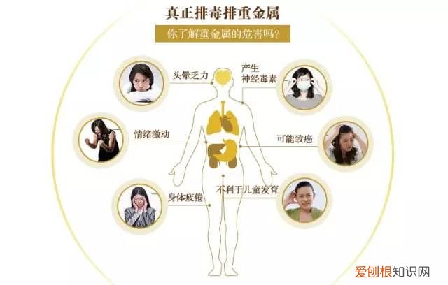 父亲节到底买什么礼物好？ 父亲节应送什么礼物