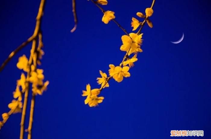 “春宵一刻值千金”的“春宵”到底指什么？ 春宵一刻值千金意思是