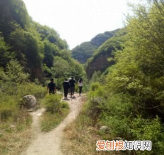 平山“猪圈沟” 石家庄猪圈沟在哪怎么样