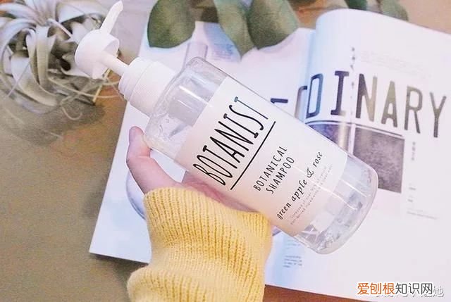 10款控油洗发水评测 什么洗发水控油好