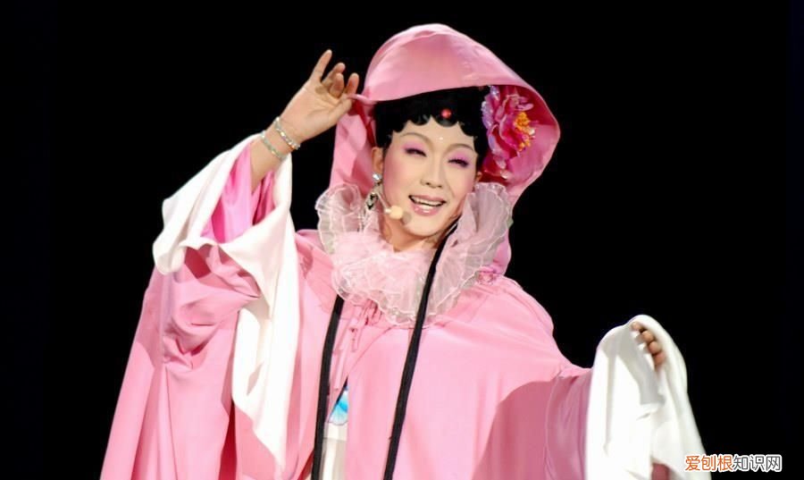 李玉刚的传奇人生 歌手李玉刚的个人基本介绍