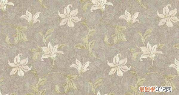 墙纸跟硅藻泥哪个合适,装修房子硅藻泥和壁纸哪个好