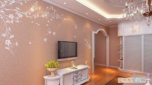 墙纸跟硅藻泥哪个合适,装修房子硅藻泥和壁纸哪个好