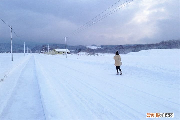 日本北海道旅游景点攻略  北海道旅游攻略