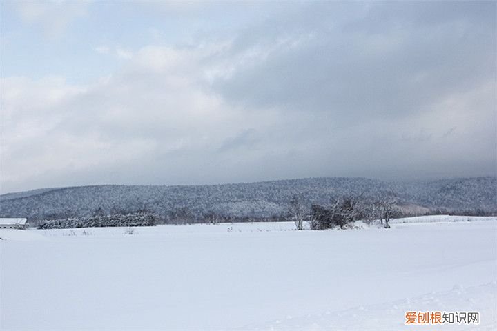 日本北海道旅游景点攻略  北海道旅游攻略