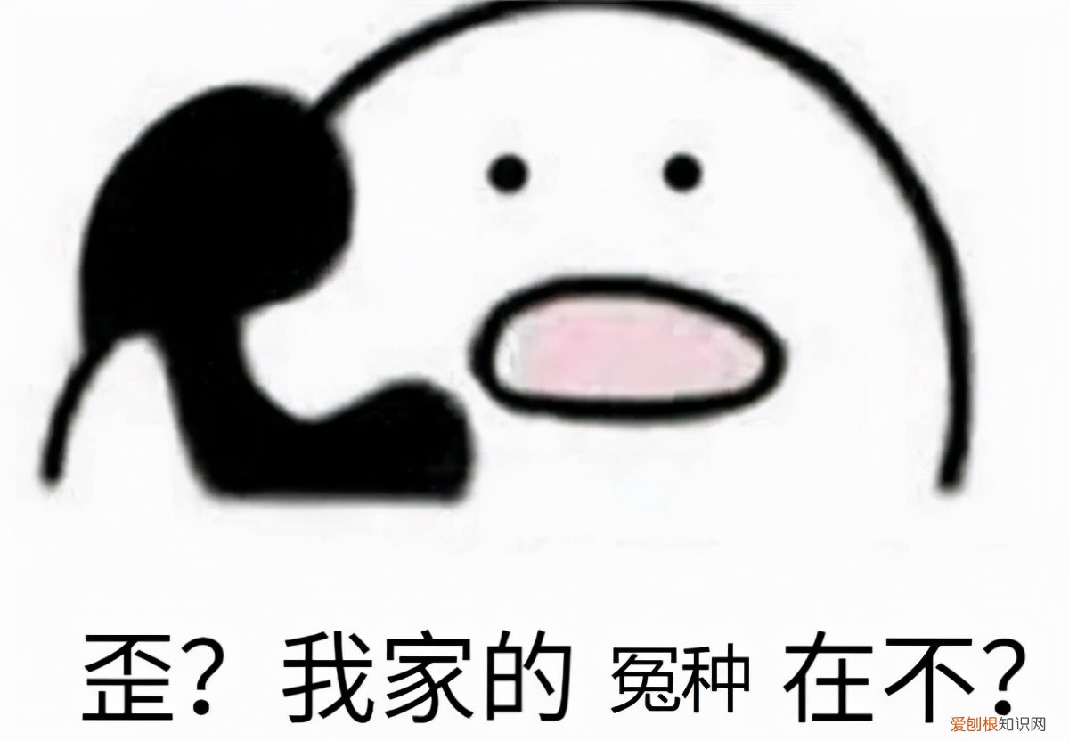 冤种是什么意思？“冤种”兄弟是什么梗？