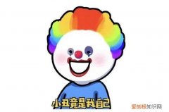 原来小丑竟然是我自己是什么梗？比喻卑微的舔狗