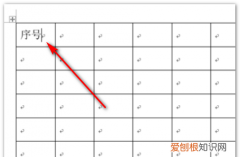 word怎么排序号23456，怎样在word文档中制作表格