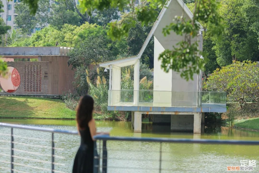 深圳必须去的50个地方 深圳哪里好玩