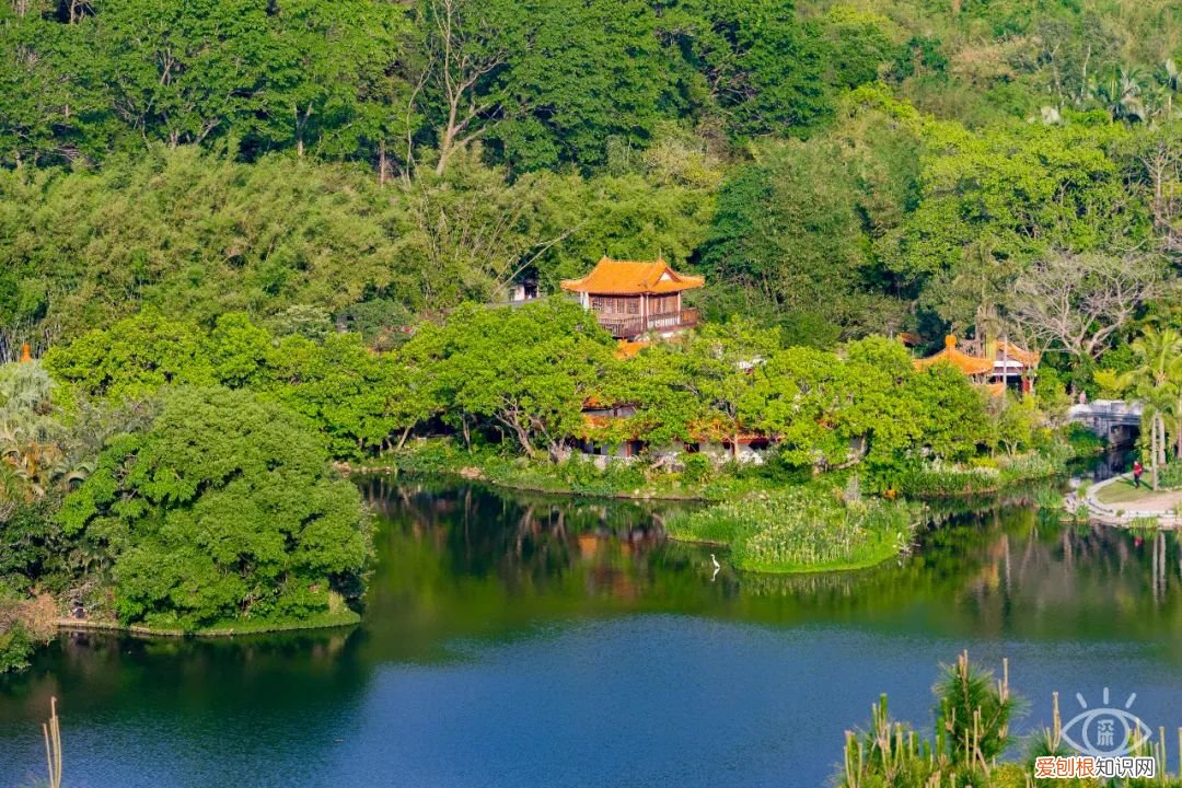 深圳必须去的50个地方 深圳哪里好玩