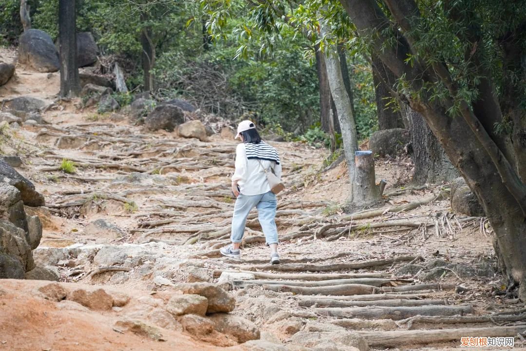 深圳必须去的50个地方 深圳哪里好玩