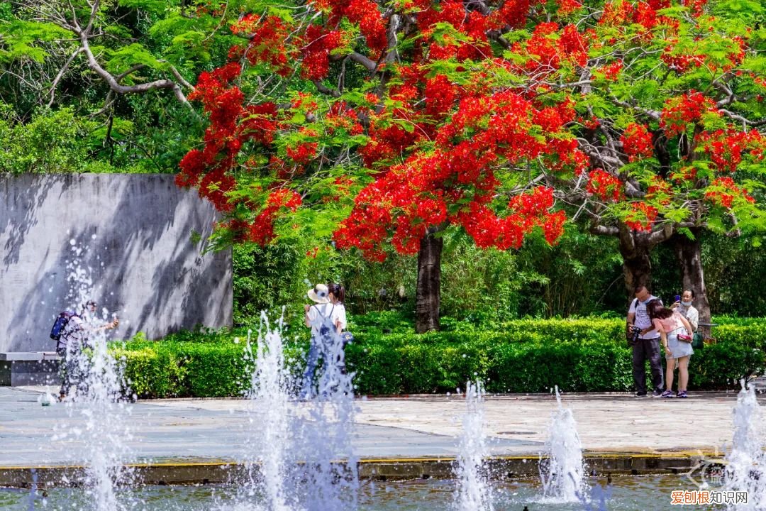 深圳必须去的50个地方 深圳哪里好玩