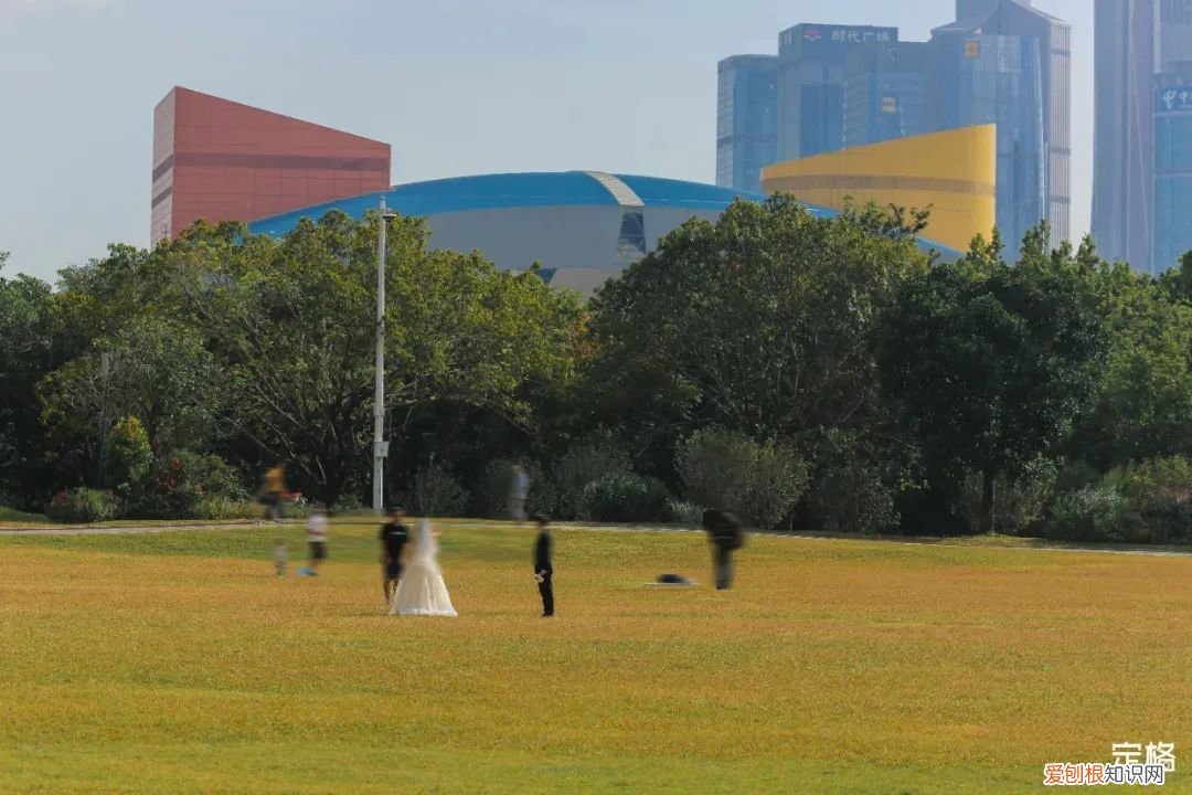 深圳必须去的50个地方 深圳哪里好玩