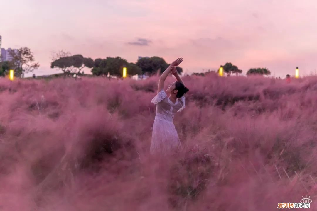 深圳必须去的50个地方 深圳哪里好玩