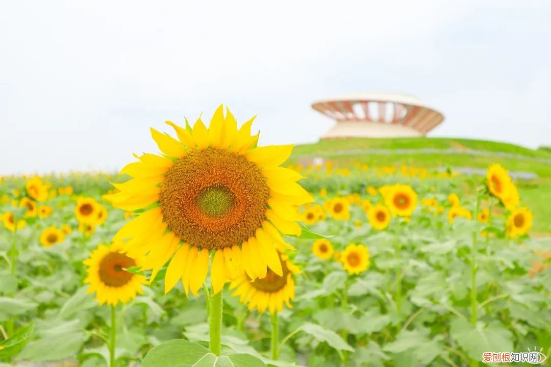 深圳必须去的50个地方 深圳哪里好玩