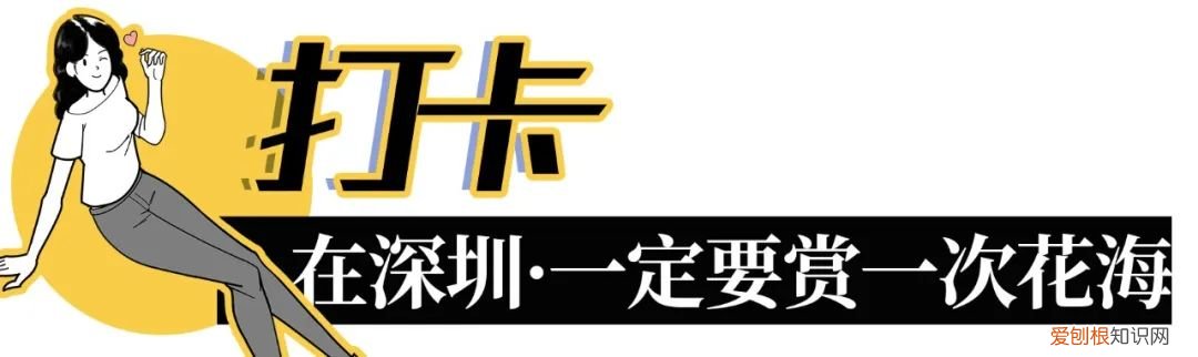 深圳必须去的50个地方 深圳哪里好玩