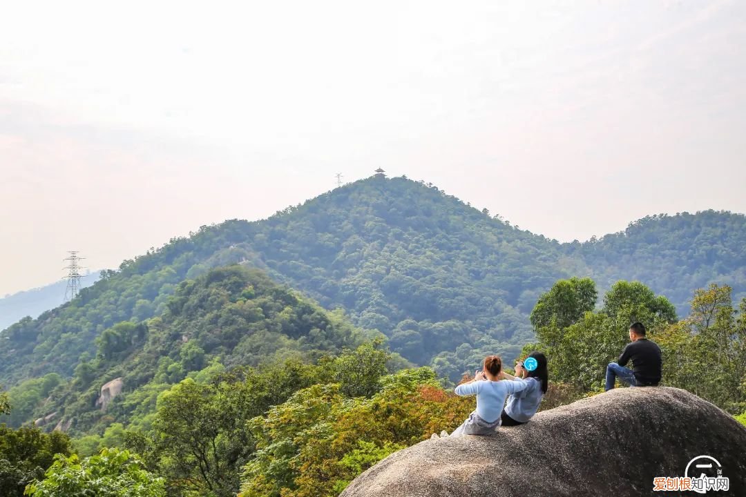 深圳必须去的50个地方 深圳哪里好玩