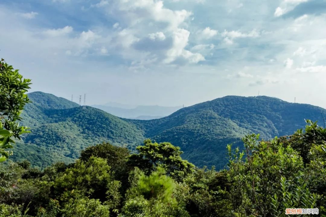 深圳必须去的50个地方 深圳哪里好玩