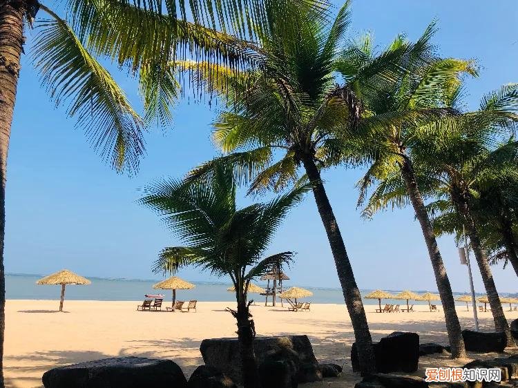 这16个旅游景点怎能错过? 湛江哪里好玩的景点推荐