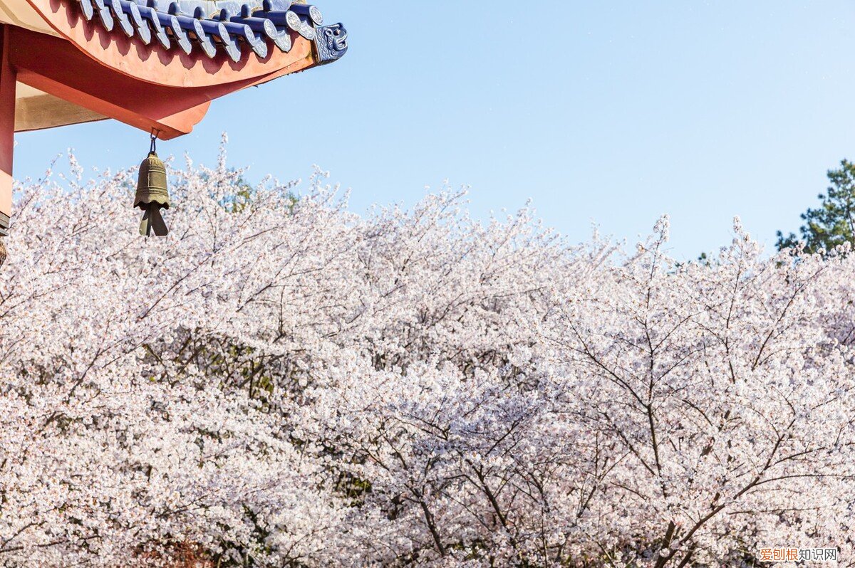 这些江南好风景，你一定不能错过 无锡旅游景点攻略