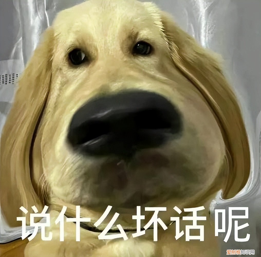 代表“kiss”亲吻的意思 男生说想吃二硫碘化钾是什么意思