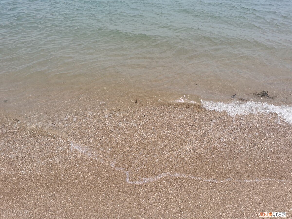 厦门好玩的地方有哪些？8个好玩又免费游玩圣地，值得一去