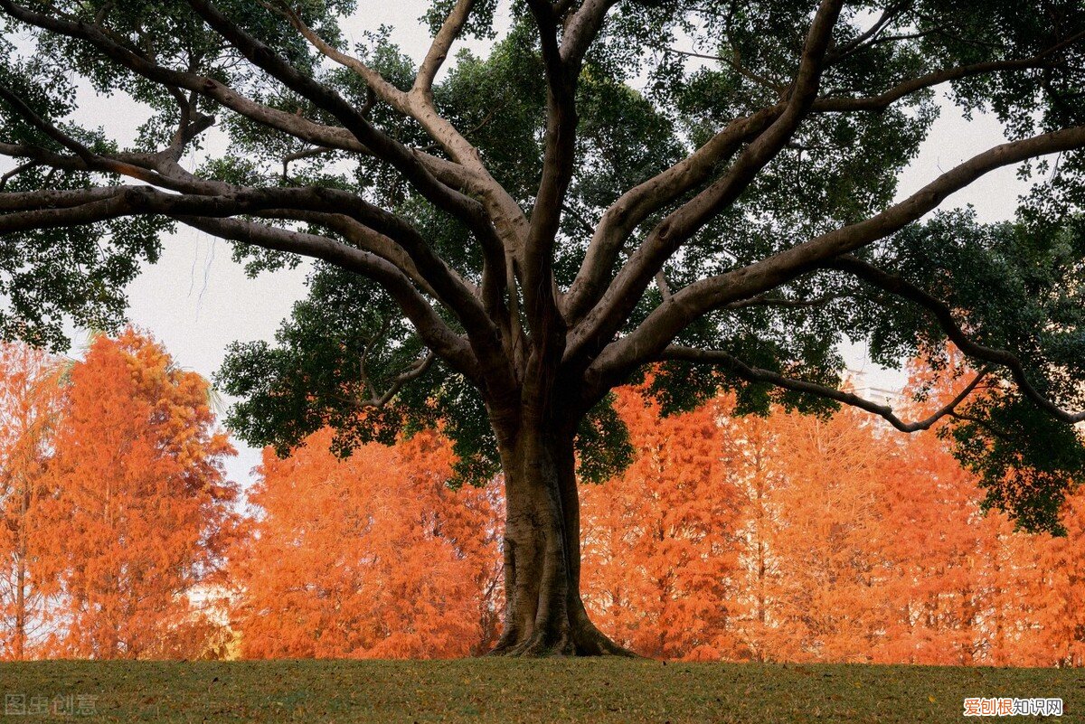 厦门好玩的地方有哪些？8个好玩又免费游玩圣地，值得一去