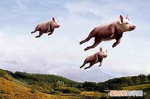 Pigs might fly是什么意思？ might是什么意思