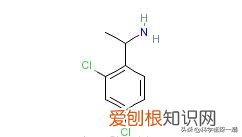 石楠花为什么叫最污花？这种花有特殊的味道