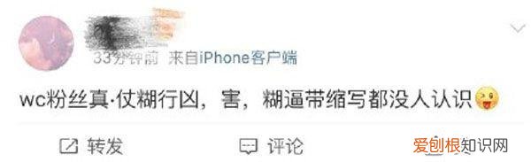 魏晨老婆是初恋吗 魏晨出了什么事