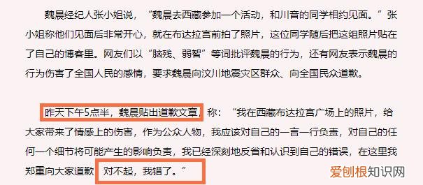 魏晨老婆是初恋吗 魏晨出了什么事