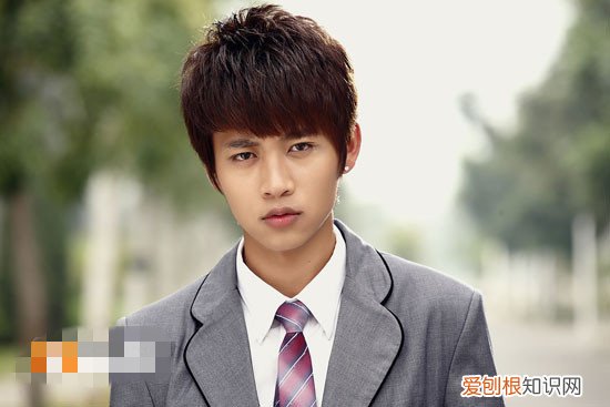 魏晨老婆是初恋吗 魏晨出了什么事