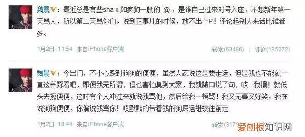 魏晨老婆是初恋吗 魏晨出了什么事