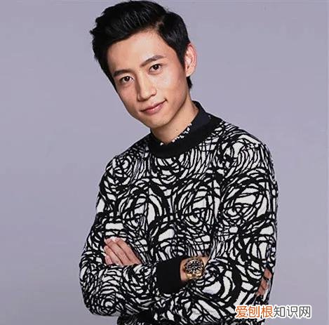 魏晨老婆是初恋吗 魏晨出了什么事