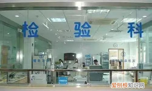 医学检验技术这个专业怎么样 医学检验技术主要学什么